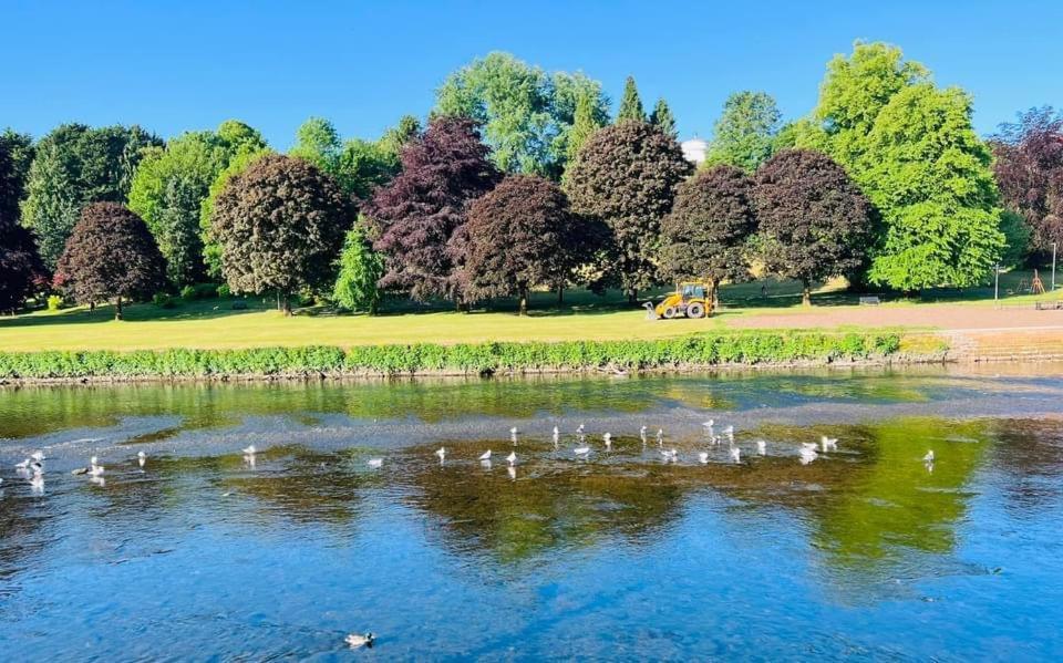 Willa Stunning Period Townhouse With Garden, Walking Distance To Town Dumfries Zewnętrze zdjęcie